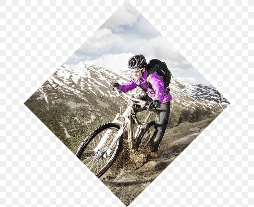 Mountain Bike, PNG, 668x668px, Mountain Bike, Bicycle, Sports Equipment, Vehicle Download Free