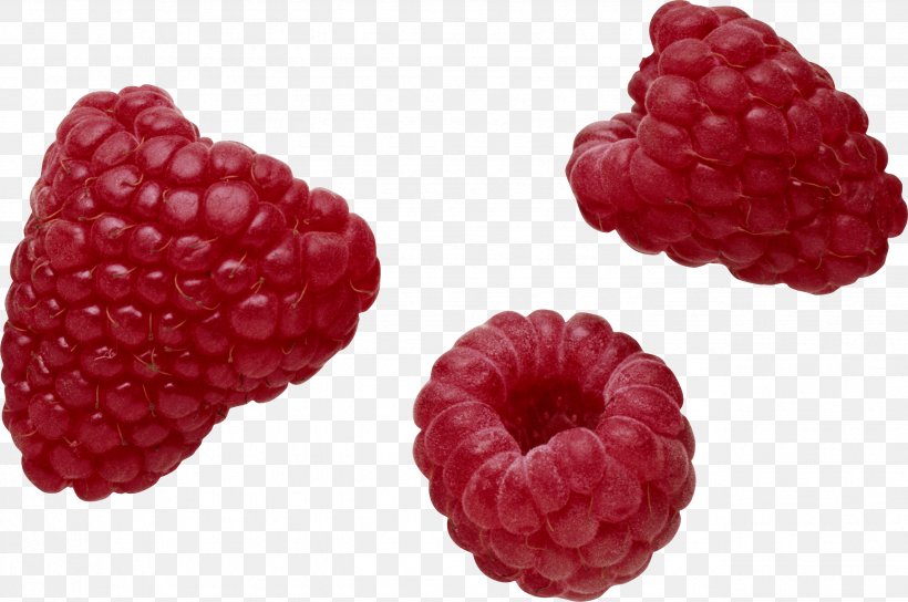 Raspberry Frutti Di Bosco Mineral Food Vitamin, PNG, 2573x1709px, Raspberry, Berry, Blackberry, Boysenberry, Food Download Free