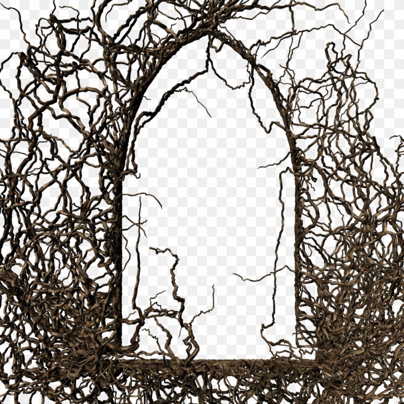 Branch Tree Picture Frame Twig Evergreen, PNG, 1024x1024px, Branch, Arch, Area, Black And White, Decorative Arts Download Free