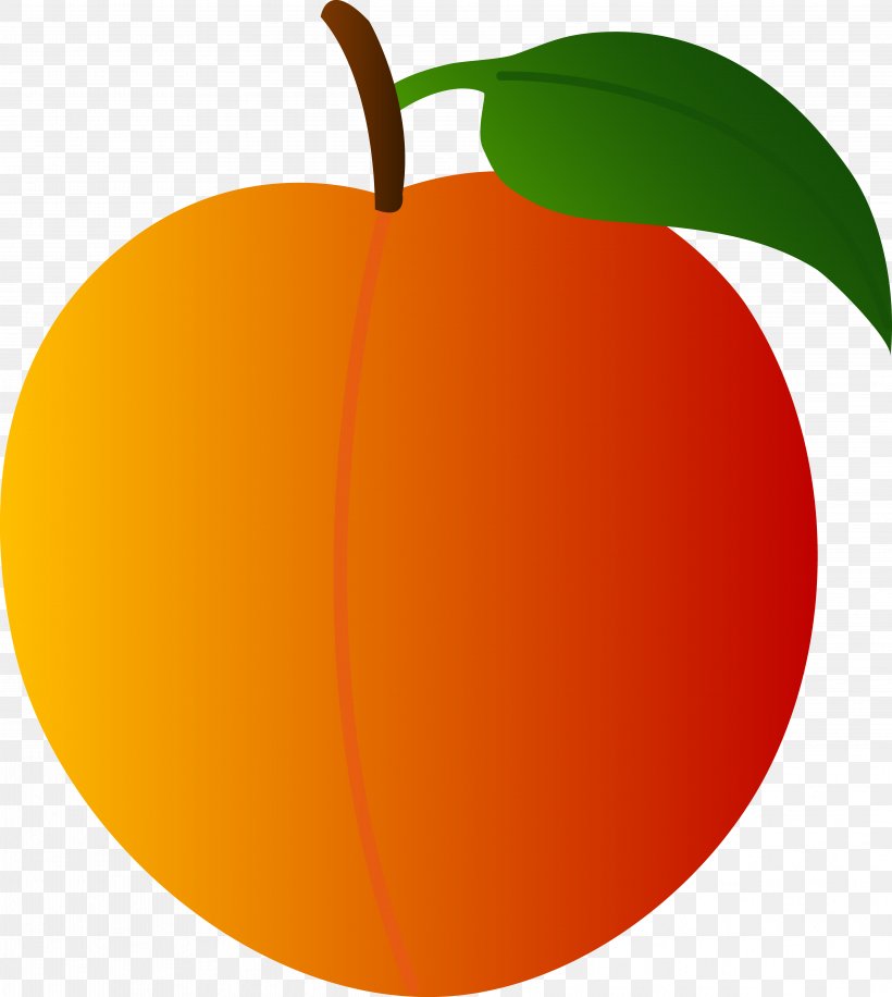 Peach Free Content Fruit Clip Art, PNG, 4867x5442px, Peach, Apple, Apricot, Citrus, Cucurbita Download Free