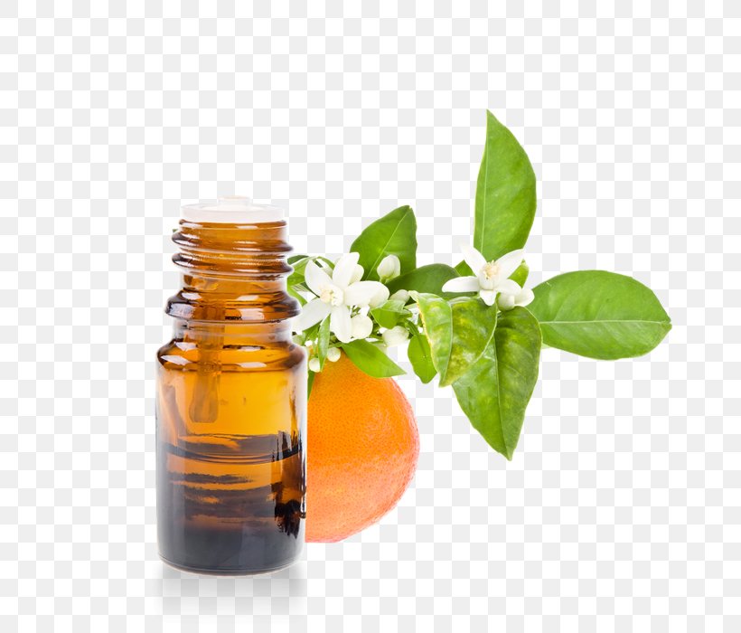 Petitgrain Essential Oil Orange Blossom Herbalism, PNG, 700x700px, Petitgrain, Alternative Health Services, Aromatherapy, Bergamot Orange, Bitter Orange Download Free