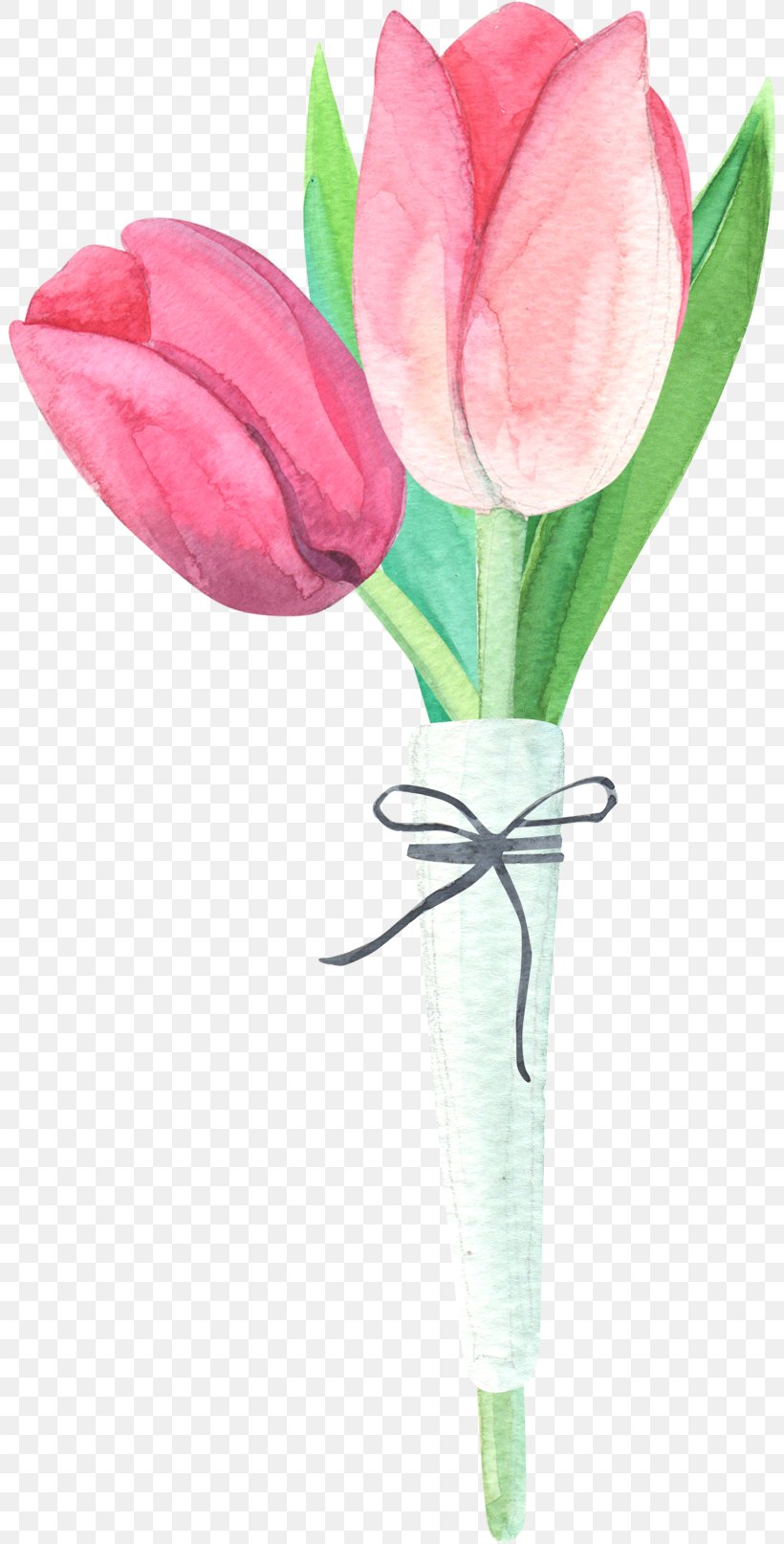 Tulip Drawing Clip Art, PNG, 804x1614px, Tulip, Cut Flowers, Designer, Drawing, Flower Download Free