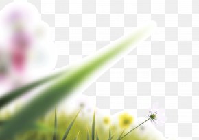 Blur Images Blur Transparent Png Free Download