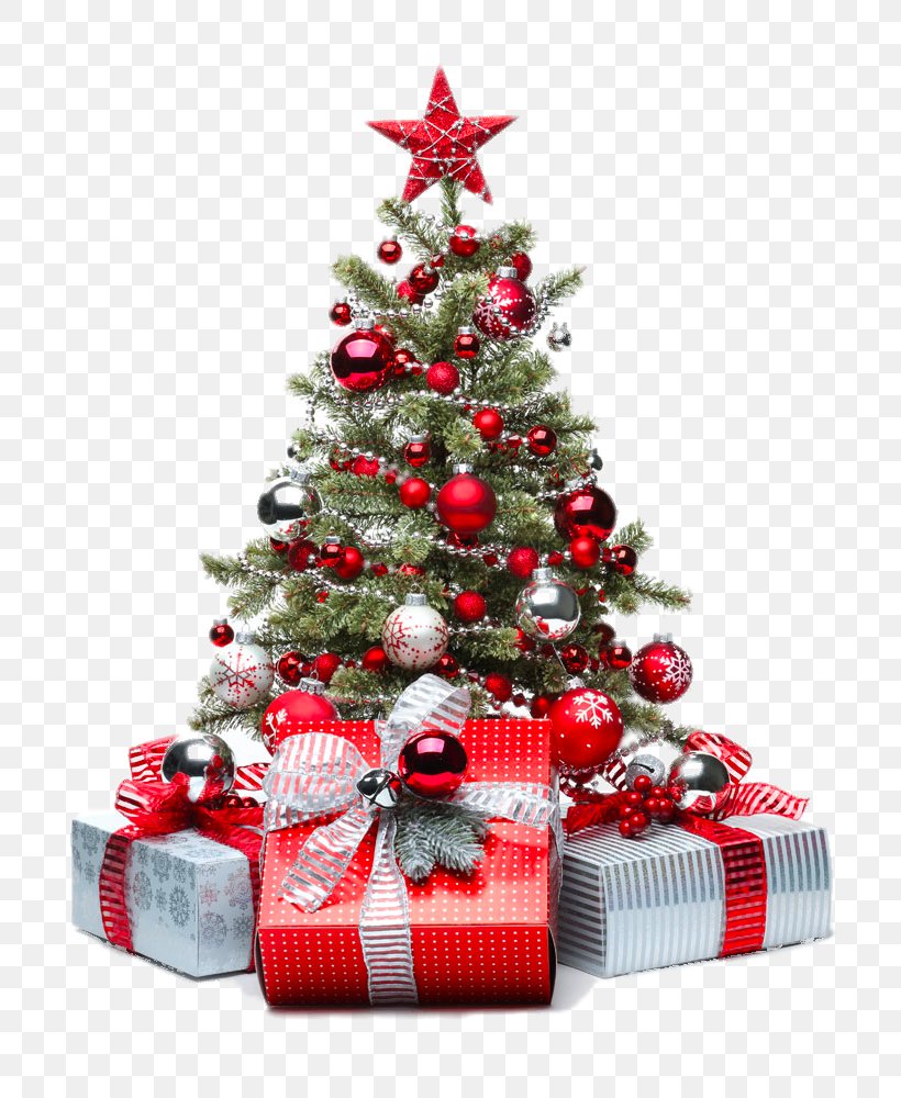 Christmas Tree Christmas Decoration Christmas Ornament, PNG, 770x1000px, Christmas Tree, Advent Wreath, Christmas, Christmas Decoration, Christmas Lights Download Free