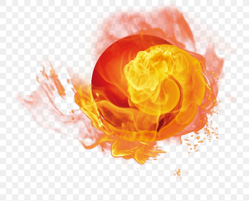 Fire Download Computer File, PNG, 738x662px, Fire, Bolas, Computer, Copyright, Flame Download Free