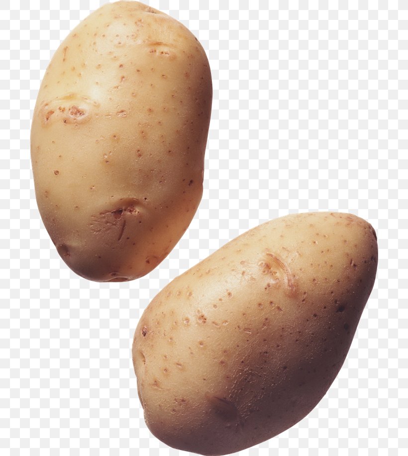 French Fries Mashed Potato Irish Potato Candy Baked Potato, PNG, 700x916px, French Fries, Baked Potato, Food, Image File Formats, Irish Potato Candy Download Free