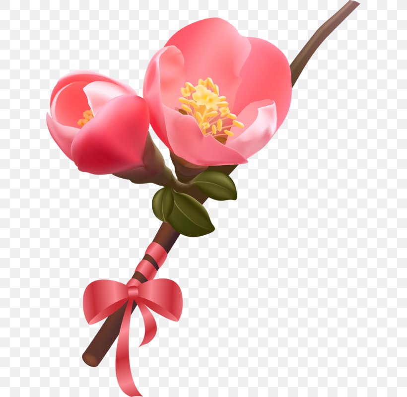 Royalty-free, PNG, 633x800px, Royaltyfree, Artificial Flower, Cut Flowers, Flower, Flowering Plant Download Free