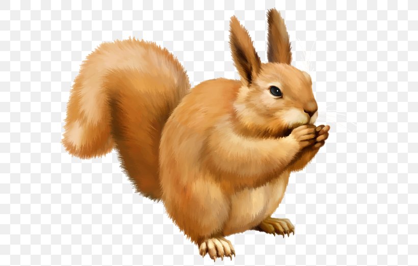 Squirrel Scrat Clip Art, PNG, 600x522px, Squirrel, Chipmunk, Domestic Rabbit, Fauna, Fur Download Free