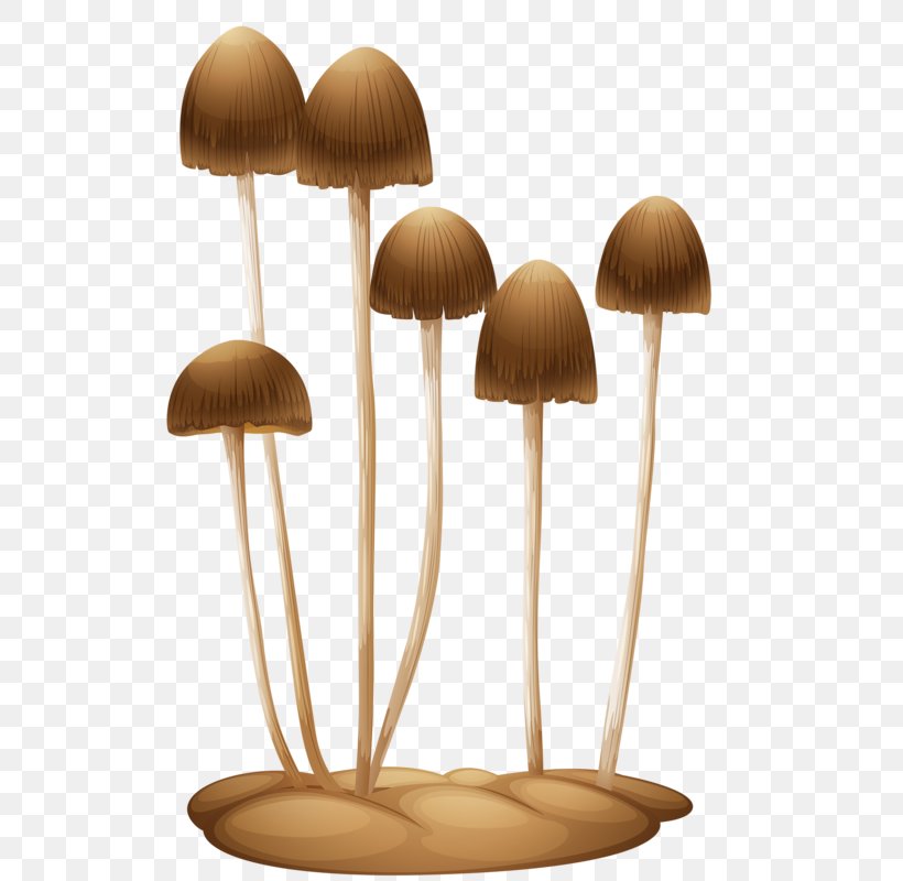 Stock Photography Fungus, PNG, 532x800px, Stock Photography, Basidiospore, Brush, Fungus, Gilled Mushrooms Download Free