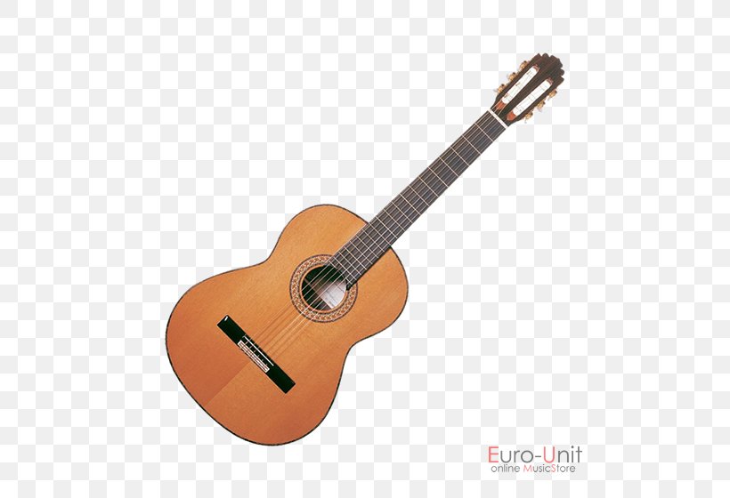 Takamine Guitars Steel-string Acoustic Guitar Acoustic-electric Guitar Classical Guitar, PNG, 560x560px, Watercolor, Cartoon, Flower, Frame, Heart Download Free