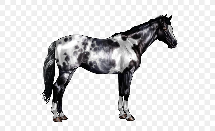 American Paint Horse American Quarter Horse Gray Black Roan, PNG, 600x500px, American Paint Horse, Agouti, American Quarter Horse, Animal Figure, Bay Download Free