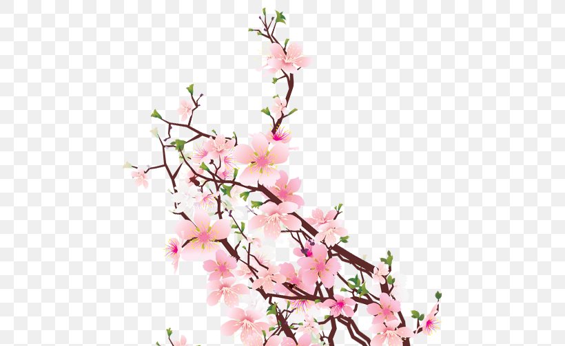 Cherry Blossom Cut Flowers Floral Design Floristry, PNG, 593x503px, Cherry Blossom, Blossom, Branch, Cherry, Cut Flowers Download Free