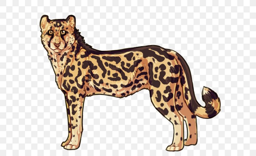 Felidae Cat Northwest African Cheetah Leopard Ocelot, PNG, 600x500px, Felidae, Animal, Animal Figure, Big Cat, Big Cats Download Free