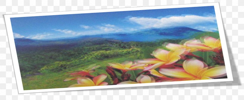 Painting Display Device Flower Picture Frames, PNG, 1350x554px, Painting, Computer Monitors, Display Device, Flora, Flower Download Free