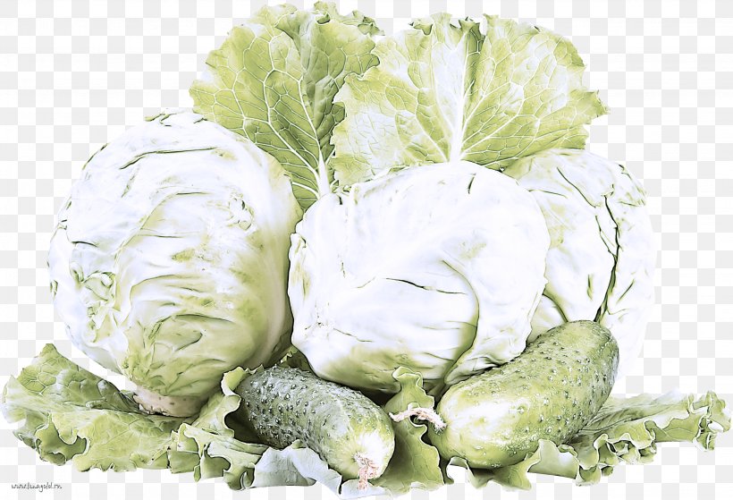 Cauliflower, PNG, 3067x2094px, Cabbage, Cauliflower, Food, Iceburg Lettuce, Leaf Vegetable Download Free