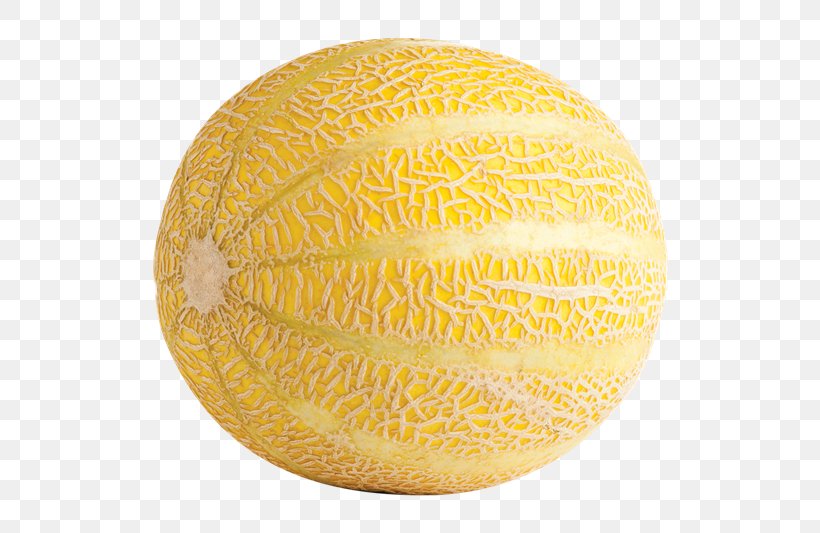 Honeydew Cantaloupe Galia Melon SGI SBC HEDGING TR SF Sphere, PNG, 600x533px, Honeydew, Cantaloupe, Cucumber Gourd And Melon Family, Fruit, Galia Download Free