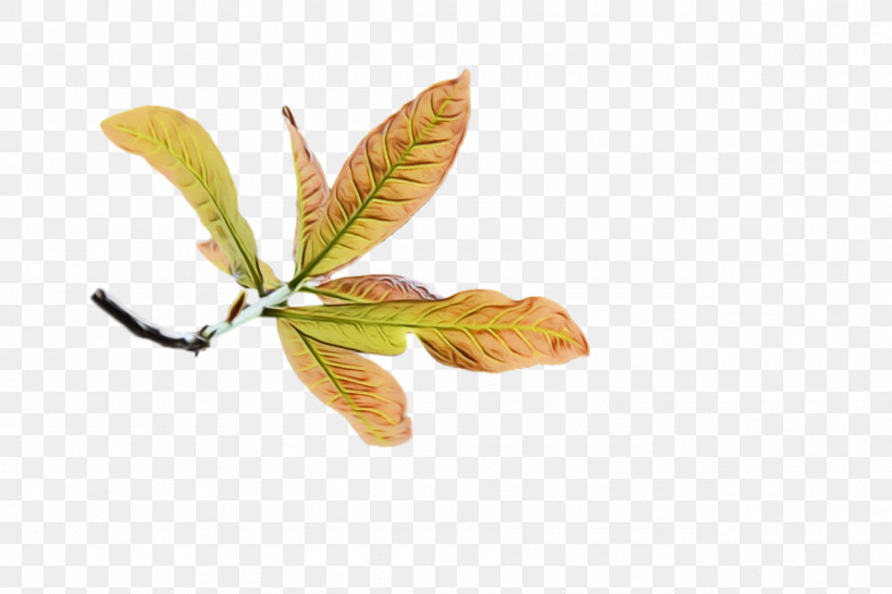 Leaf Tree Twig Plants Science, PNG, 1280x853px, Watercolor, Biology, Leaf, Paint, Plant Structure Download Free