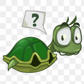 sad turtle clipart pictures