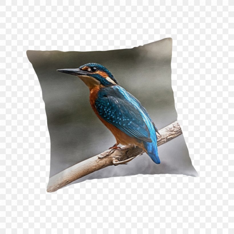 Throw Pillows Beak, PNG, 875x875px, Throw Pillows, Beak, Bird, Bluebird, Throw Pillow Download Free