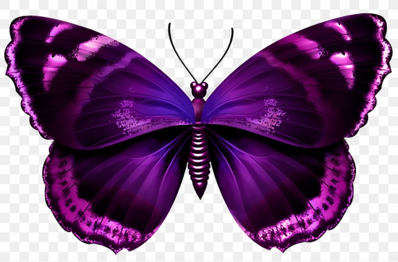 Butterfly Purple Clip Art, PNG, 930x614px, Butterfly, Arthropod, Blue, Brush Footed Butterfly, Butterflies And Moths Download Free