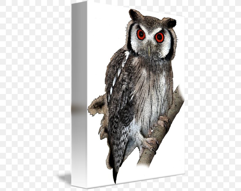 Owl Imagekind Art Poster, PNG, 449x650px, Owl, Art, Beak, Bird, Bird Of Prey Download Free