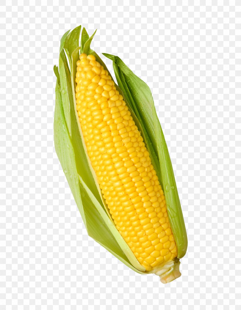 Popcorn Candy Corn Sweet Corn Corn Kernel Maize, PNG, 1200x1548px, Popcorn, Baby Corn, Candy Corn, Commodity, Corn Kernel Download Free