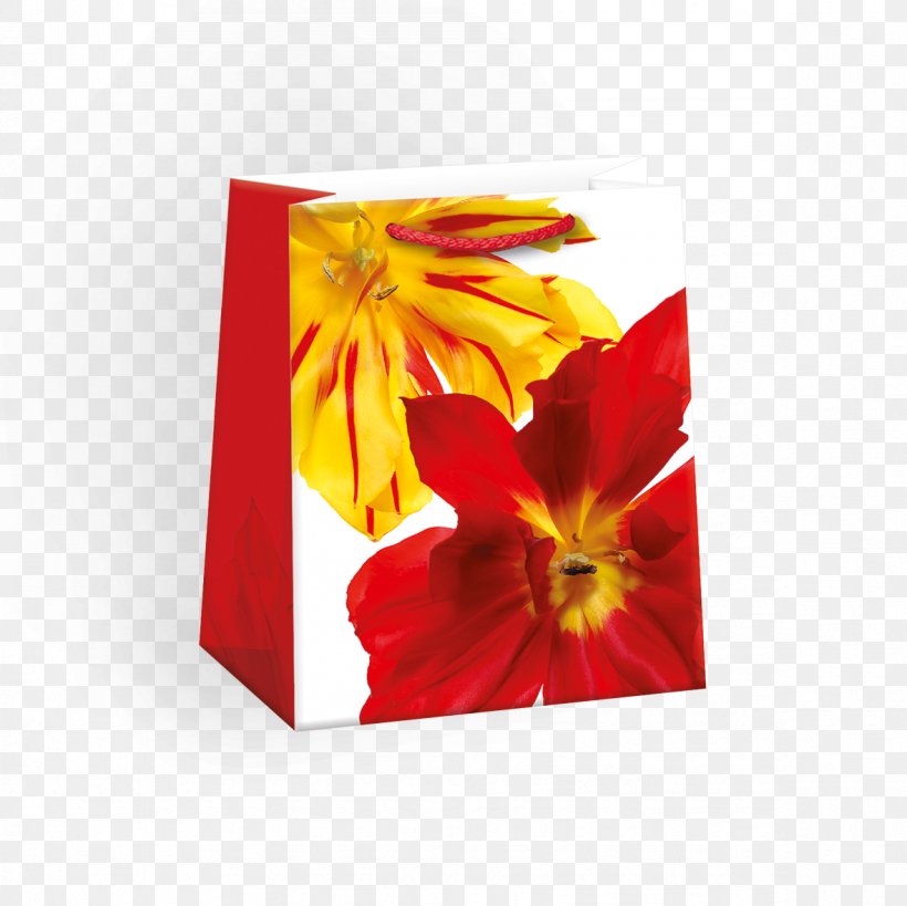 Rectangle, PNG, 1181x1181px, Rectangle, Flower, Flowering Plant, Petal, Yellow Download Free