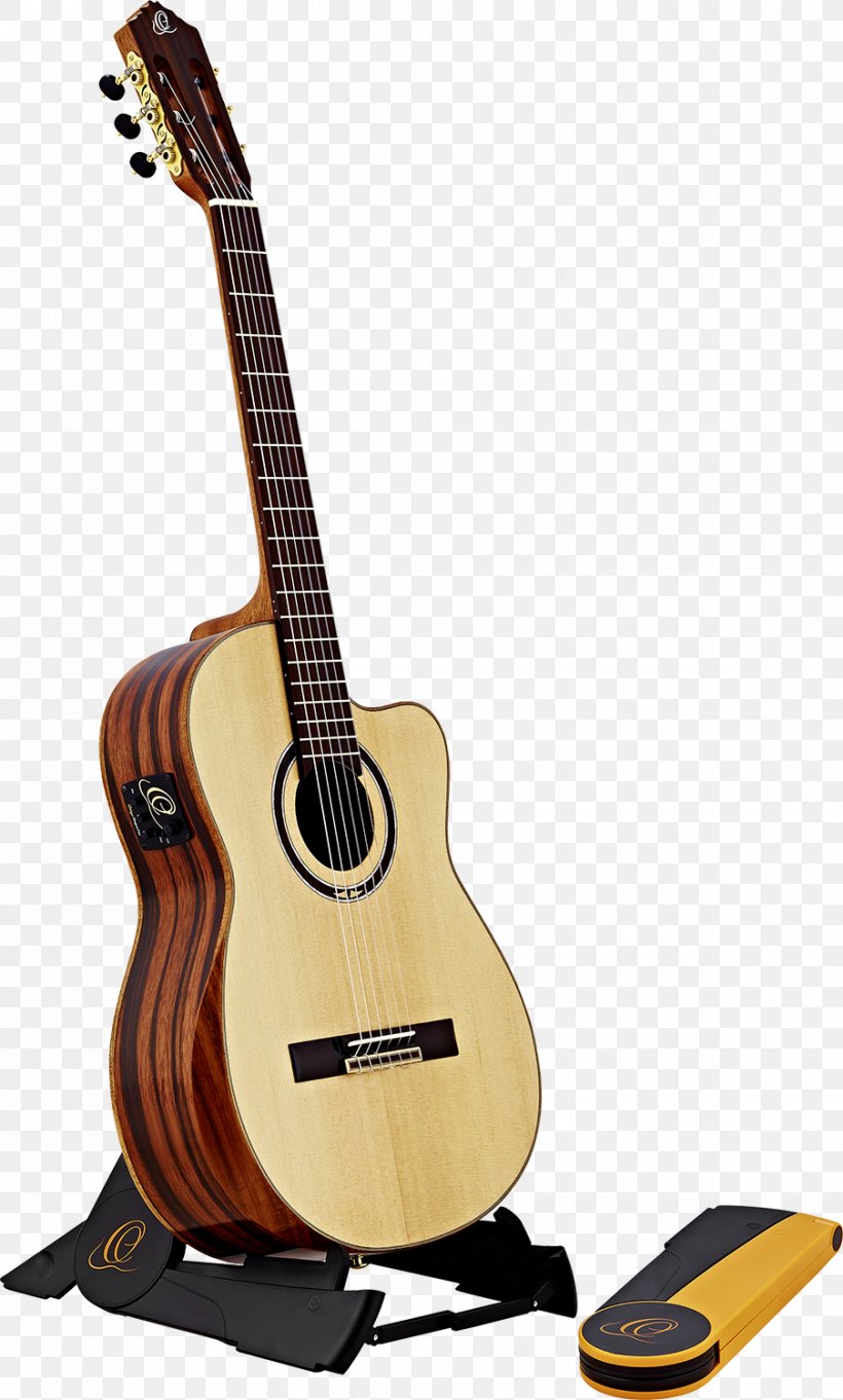 Acoustic Guitar Bass Guitar Tiple Cuatro Cavaquinho, PNG, 903x1500px, Watercolor, Cartoon, Flower, Frame, Heart Download Free