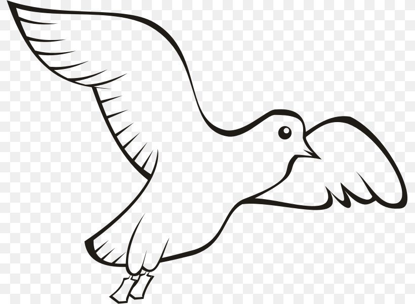 Bird Beak Domestic Pigeon Columbidae Clip Art, PNG, 793x600px, Bird, Artwork, Beak, Bird Flight, Black And White Download Free