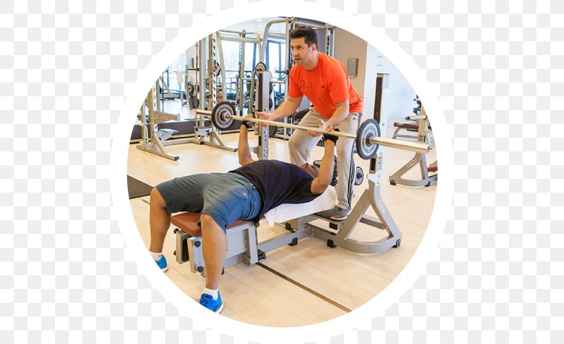 Fitness Centre Physical Fitness Physical Exercise Sport, PNG, 500x500px, Fitness Centre, Arm, Balance, Exercise Equipment, Exercise Machine Download Free