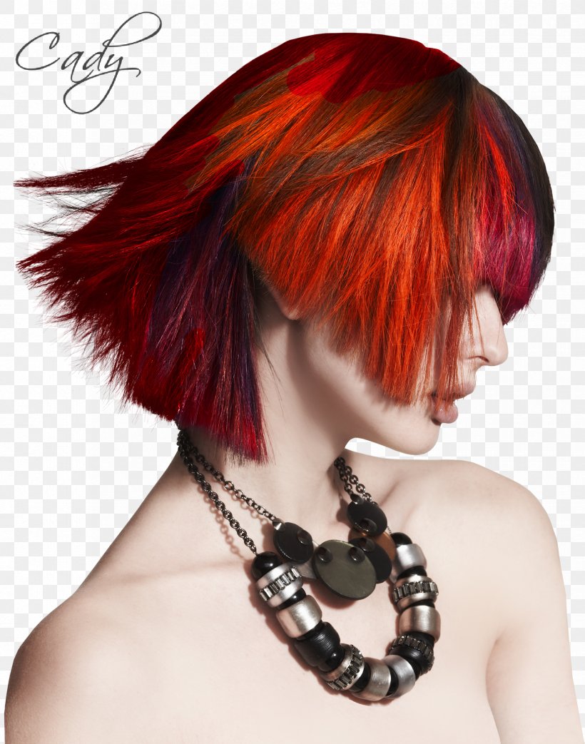 Hair Coloring Hairstyle Human Hair Color, PNG, 1650x2100px, Hair Coloring, Bangs, Beard, Bob Cut, Brown Hair Download Free