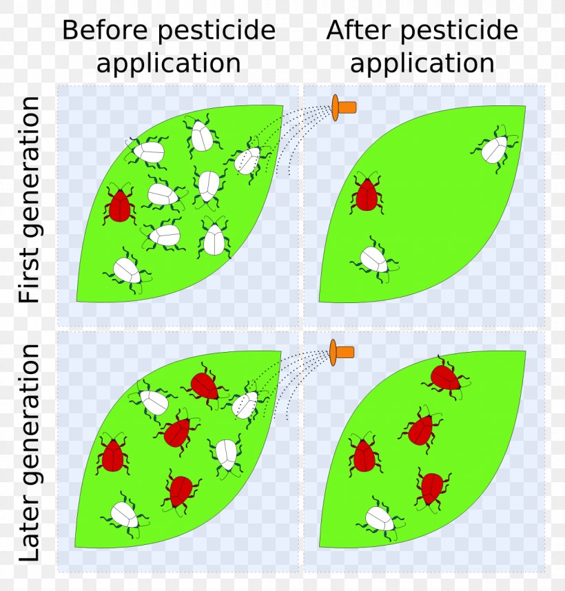 Insecticide Pesticide Resistance, PNG, 1200x1256px, Insecticide, Agriculture, Area, Biology, Ddt Download Free