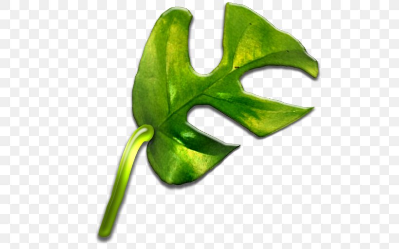 Leaf Plant Stem, PNG, 512x512px, Leaf, Plant, Plant Stem Download Free