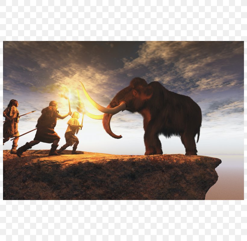 Neandertal Hunter-gatherer Hunting Stock Photography Prehistory, PNG, 800x800px, Neandertal, African Elephant, Caveman, Elephant, Elephants And Mammoths Download Free