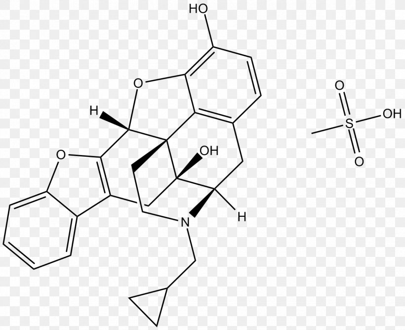 Opioid Receptor Hormone Receptor Antagonist Micromolar, PNG, 1284x1047px, Opioid Receptor, Agonist, Area, Black And White, Diagram Download Free