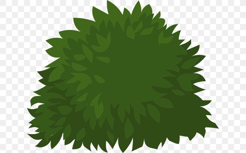 Shrub Tree Plant Clip Art, PNG, 640x510px, Shrub, Box, Grass, Green, Leaf Download Free