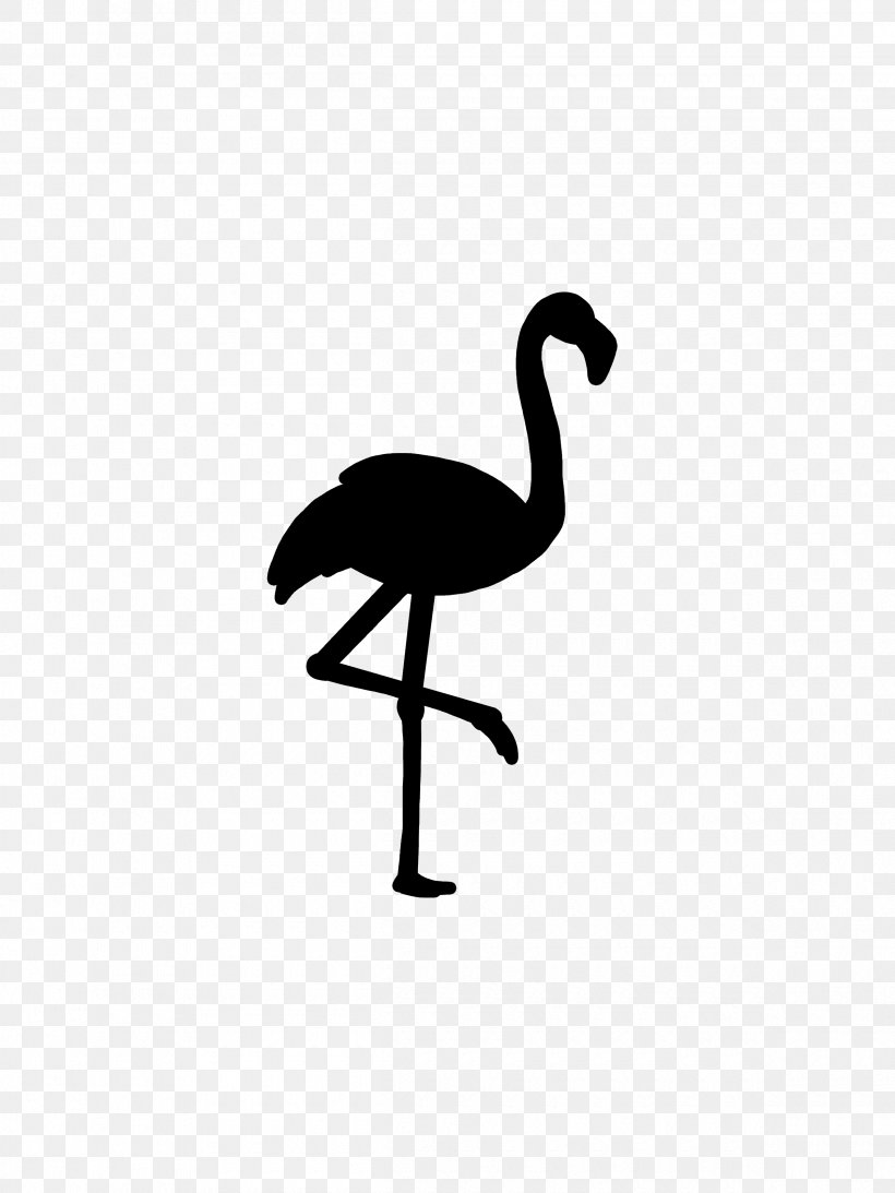 Roblox Flamingo Password