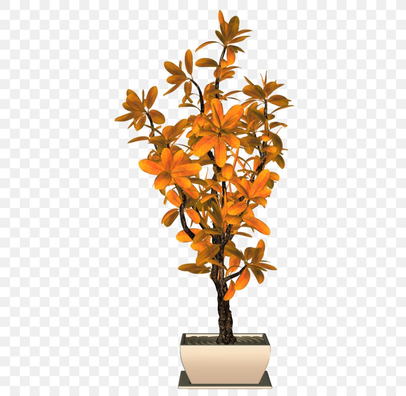 Flowerpot Houseplant Orange S.A., PNG, 394x800px, Flowerpot, Aquarium Decor, Branch, Flower, Flowering Plant Download Free