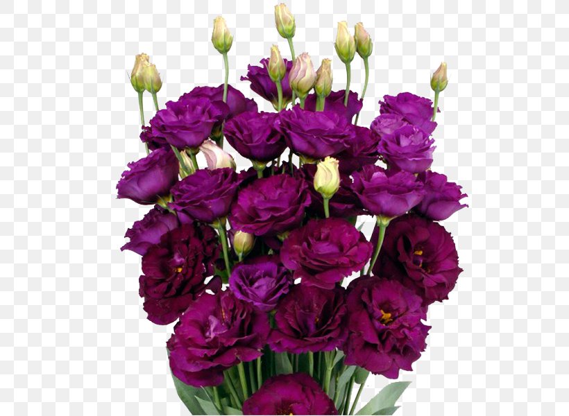 Garden Roses Pink Flowers Cut Flowers Floral Design Purple, PNG, 600x600px, Garden Roses, Annual Plant, Artificial Flower, Carnation, Cut Flowers Download Free