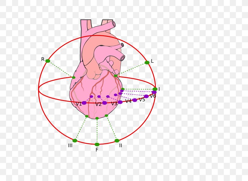 Heart Cardiology Coronary Artery Disease Coronary Arteries Coronary Artery Bypass Surgery, PNG, 699x600px, Watercolor, Cartoon, Flower, Frame, Heart Download Free