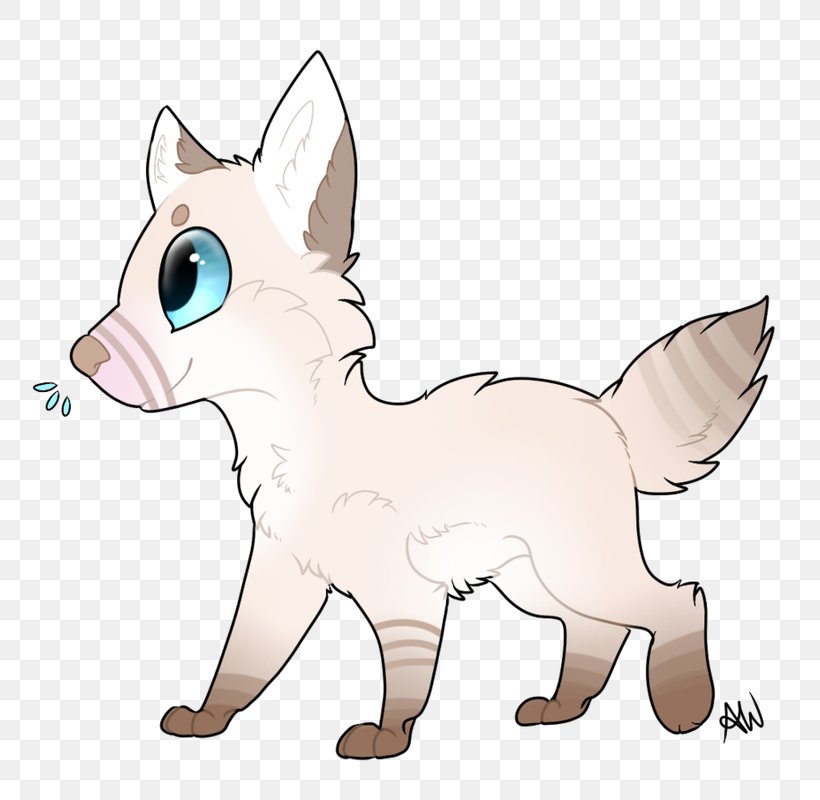 Whiskers Kitten Dog Red Fox Cat, PNG, 800x800px, Whiskers, Animal, Animal Figure, Carnivoran, Cat Download Free