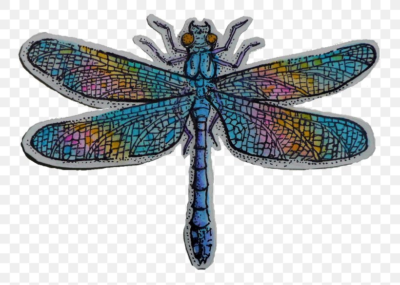 Artist Drawing Dragonfly Storenvy, PNG, 800x585px, Art, Artist, Dragonflies And Damseflies, Dragonfly, Drawing Download Free