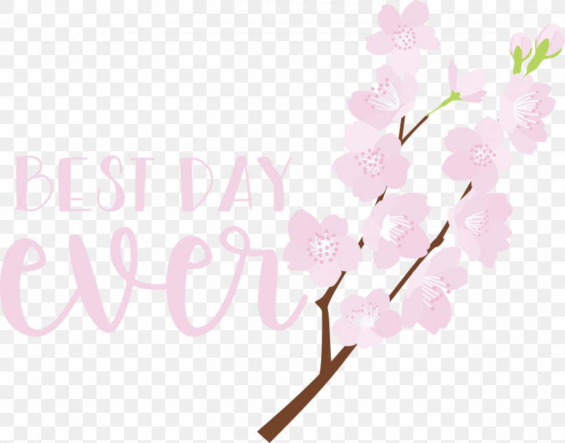 Best Day Ever Wedding, PNG, 3000x2358px, Best Day Ever, Cherry Blossom, Cut Flowers, Floral Design, Flower Download Free