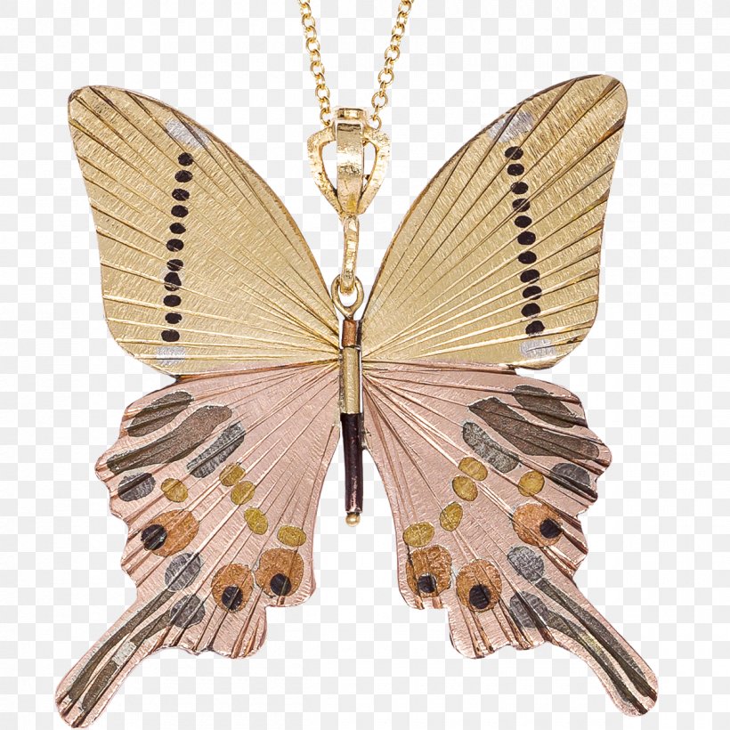 Charms & Pendants Moth Necklace, PNG, 1200x1200px, Charms Pendants, Butterfly, Insect, Invertebrate, Jewellery Download Free