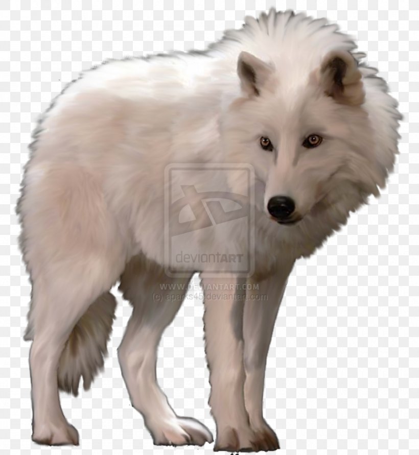 Dog Arctic Wolf Arctic Fox Polar Bear, PNG, 900x979px, Dog, Animal, Arctic, Arctic Fox, Arctic Wolf Download Free