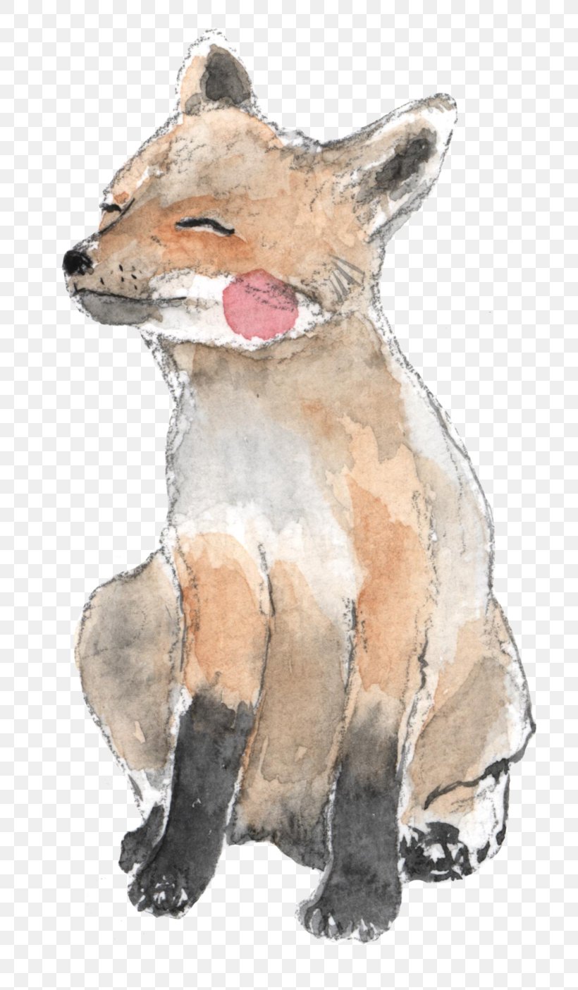 Red Fox Cavachon Cavapoo Puppy Shiba Inu, PNG, 751x1404px, Red Fox, Animal, Breeder, Carnivoran, Cavachon Download Free