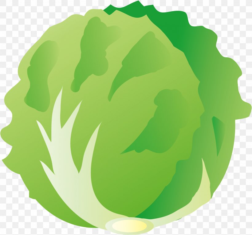 Vegetable Greens Illustration Lettuce Image, PNG, 3840x3572px, Vegetable, Bargli Sabzavotlar, Cabbage, Copyrightfree, Food Download Free
