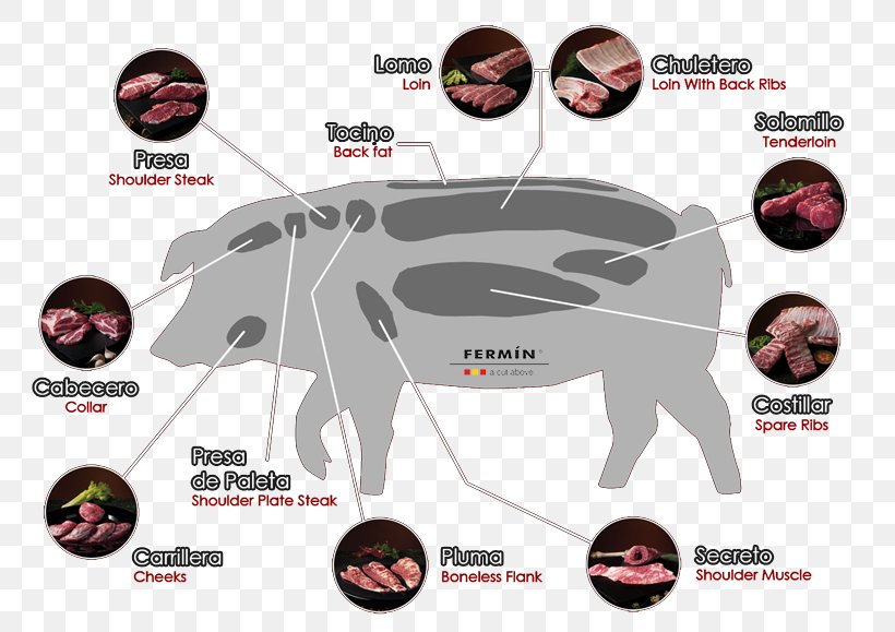 Black Iberian Pig Iberian Peninsula Spare Ribs Embutido Pork, PNG, 800x579px, Black Iberian Pig, Acorn, Automotive Tire, Brand, Domestic Pig Download Free