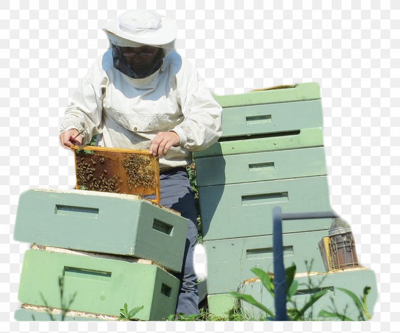Canada Beehive Beekeeping Beekeeper, PNG, 1772x1476px, Canada, Bee, Beehive, Beekeeper, Beekeeping Download Free