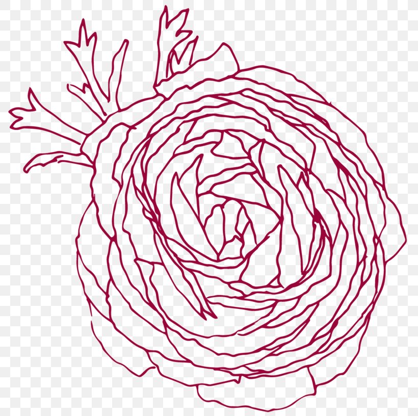 Petal Drawing Line Art Leaf Clip Art, PNG, 800x816px, Watercolor, Cartoon, Flower, Frame, Heart Download Free